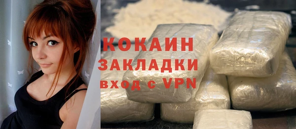 сатива Волосово