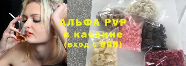PSILOCYBIN Вязники