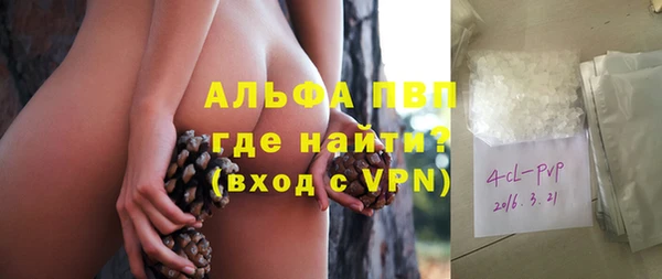 PSILOCYBIN Вязники