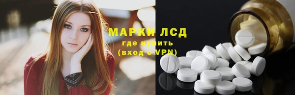 PSILOCYBIN Вязники