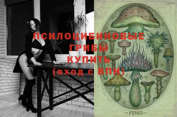 сатива Волосово
