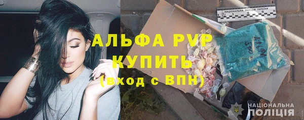 шишки Вяземский